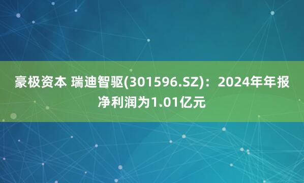 豪极资本 瑞迪智驱(301596.SZ):2024年年报净利润为1.01亿元