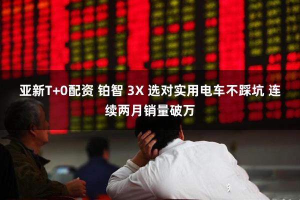 亚新T+0配资 铂智 3X 选对实用电车不踩坑 连续两月销量破万