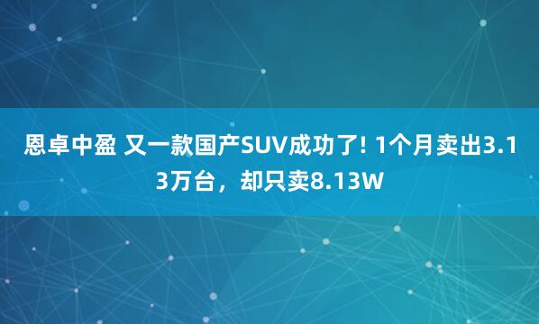 恩卓中盈 又一款国产SUV成功了! 1个月卖出3.13万台，却只卖8.13W